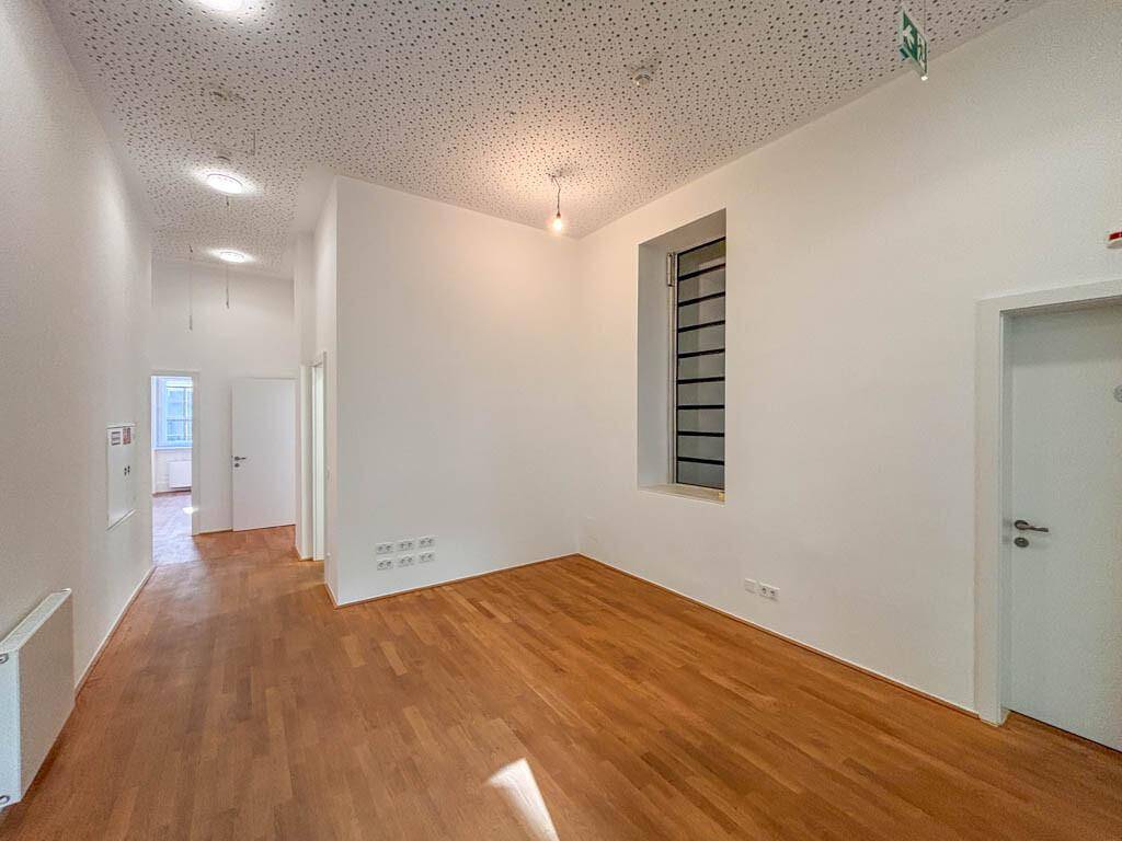 Repräsentatives Büro im prachtvollen Palais Schwab - Ansicht 3