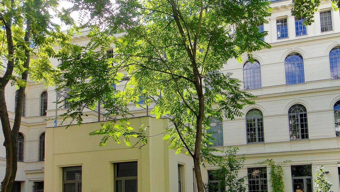 Gebäudefassade mit großen Fenstern, teilweise von einem Baum mit frischem Grün verdeckt.