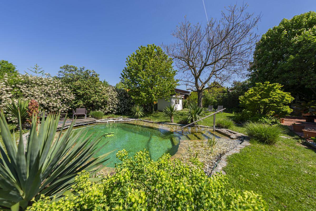 Idyllischer Garten mit Schwimmteich, umgeben von blühenden Sträuchern und hohen Bäumen unter blauem Himmel.