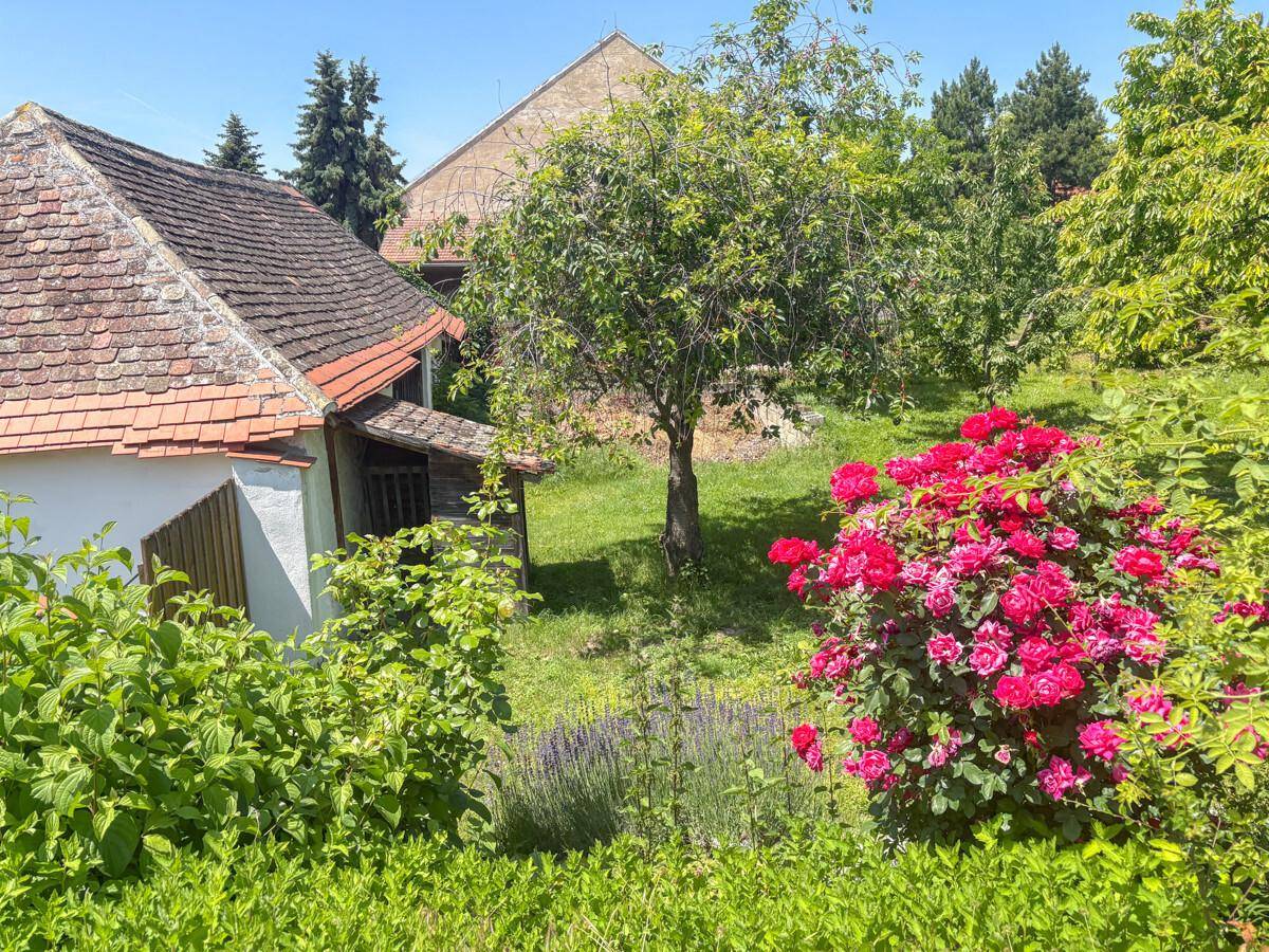 Malerischer Garten mit blühenden Rosen, Lavendel und Obstbäumen im ländlichen Stil.