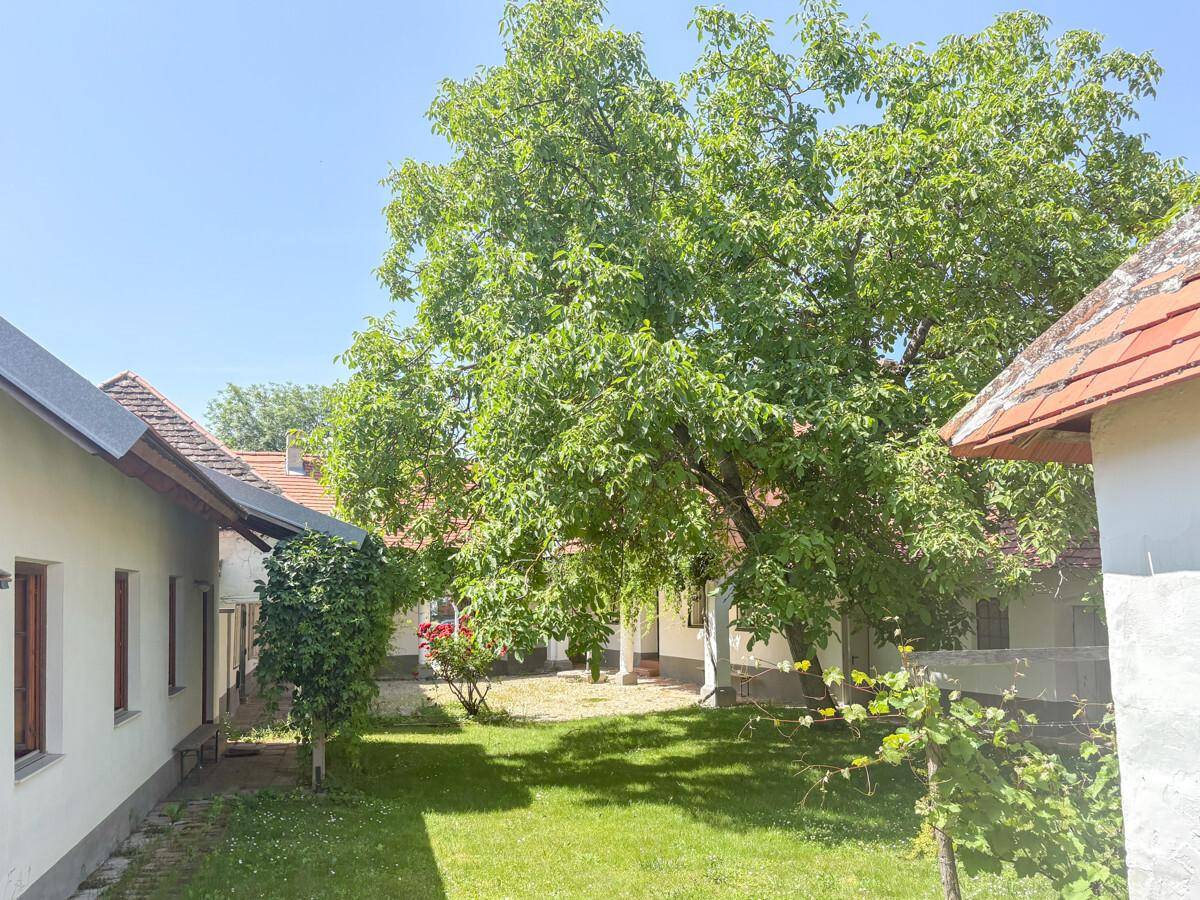 Gepflegte Gartenanlage zwischen Gebäuden mit Rasenfläche und altem Baumbestand.