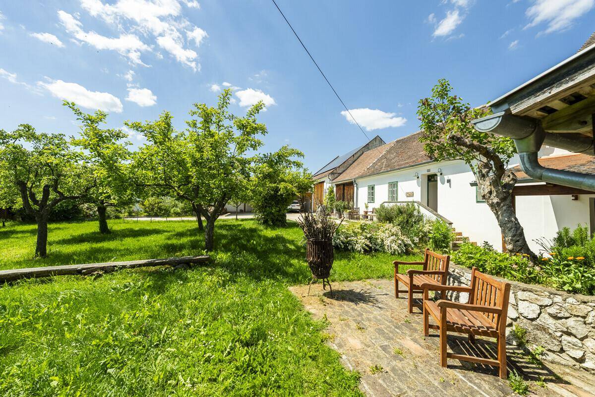 Großer, gepflegter Garten mit Obstbäumen, Rasenfläche und Holzbänken zum Entspannen im Freien.