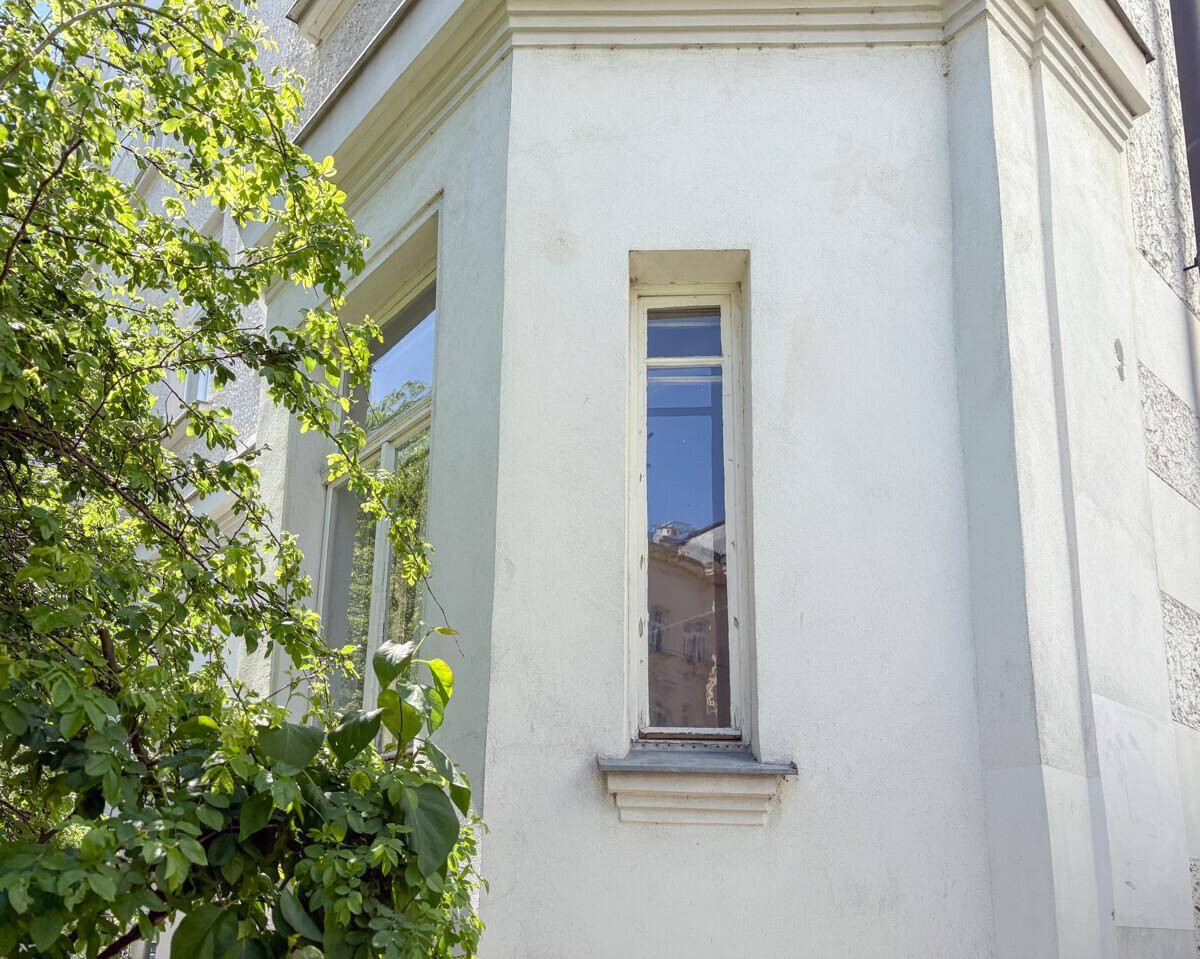 Detailansicht der hellen Gebäudefassade mit einem hohen, schmalen Fenster und grünen Pflanzen.