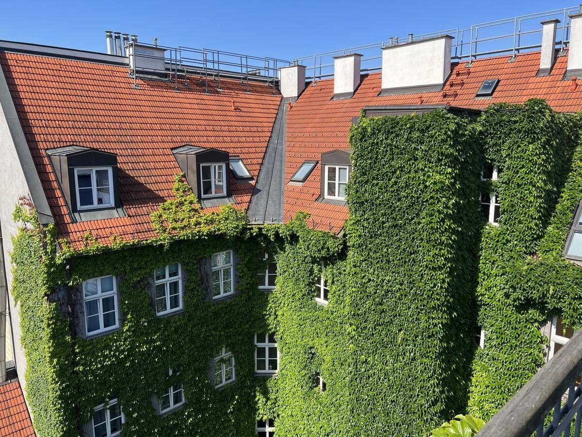 Dachlandschaft eines Gebäudes mit roten Ziegeln und einer mit Efeu bewachsenen Fassade unter blauem Himmel.