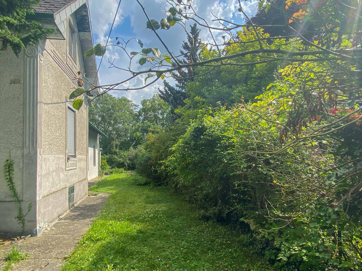 Hausfassade mit Betonweg, der zu einem verwilderten Gartenbereich mit dichtem Baumbestand führt.