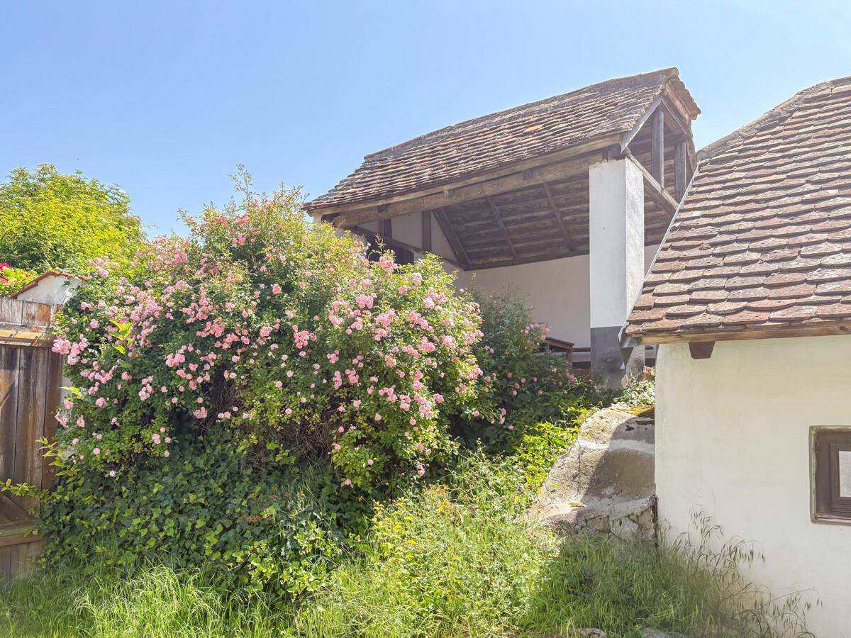 Romantischer Gartenbereich mit blühenden Rosenbüschen und einem überdachten Freisitz.