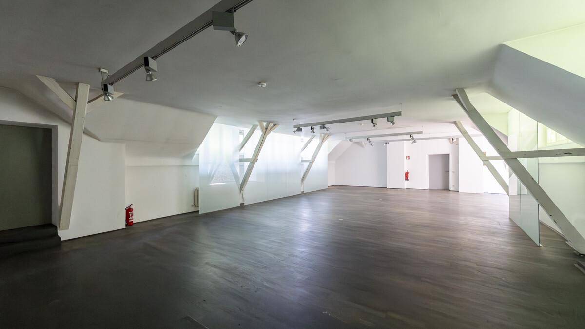 Geräumiger Dachbodenraum mit dunklem Holzboden, sichtbaren Holzbalken und Schrägen, beleuchtet durch moderne Schienenstrahler.