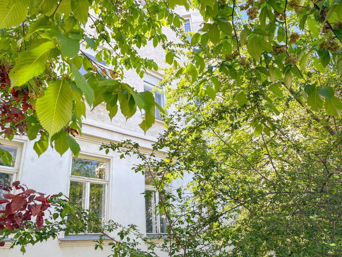 Grüne Bäume und Sträucher verdecken teilweise die Fassade eines Gebäudes mit Fenstern.