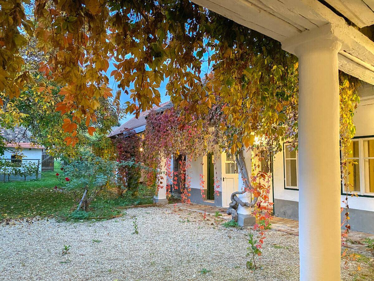 Abendliche Ansicht des Innenhofs mit herbstlicher Weinrebenbegrünung und warm beleuchteten Fenstern.