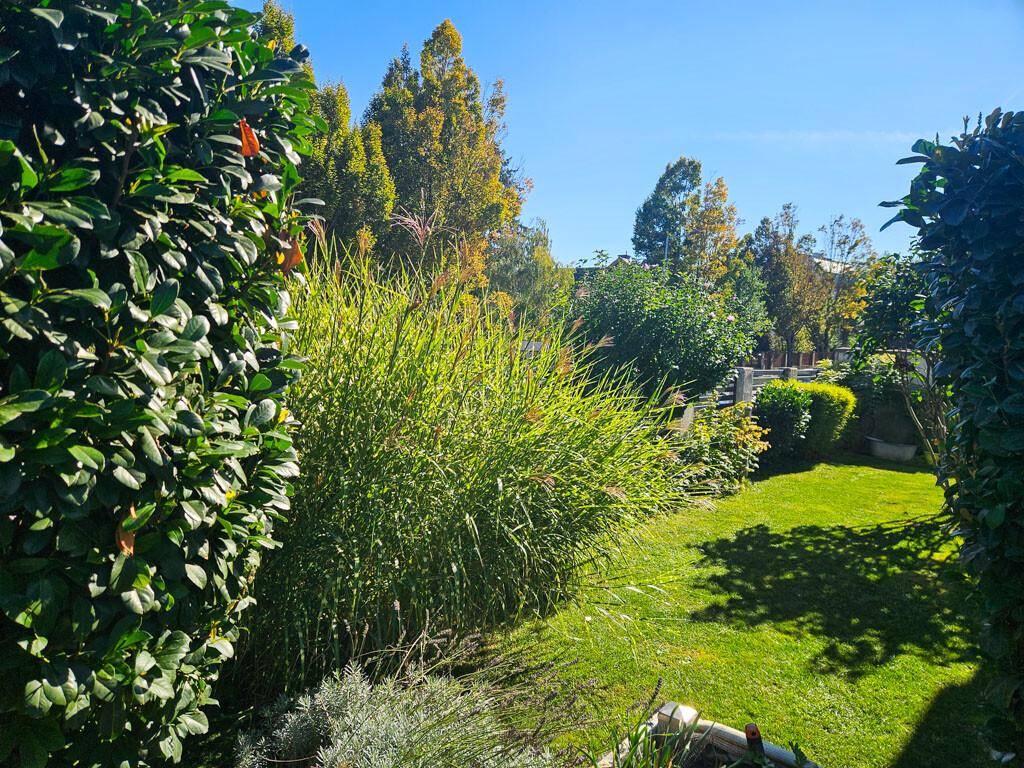 Üppiger grüner Garten mit hohen Gräsern, dichten Hecken und Bäumen im Hintergrund.