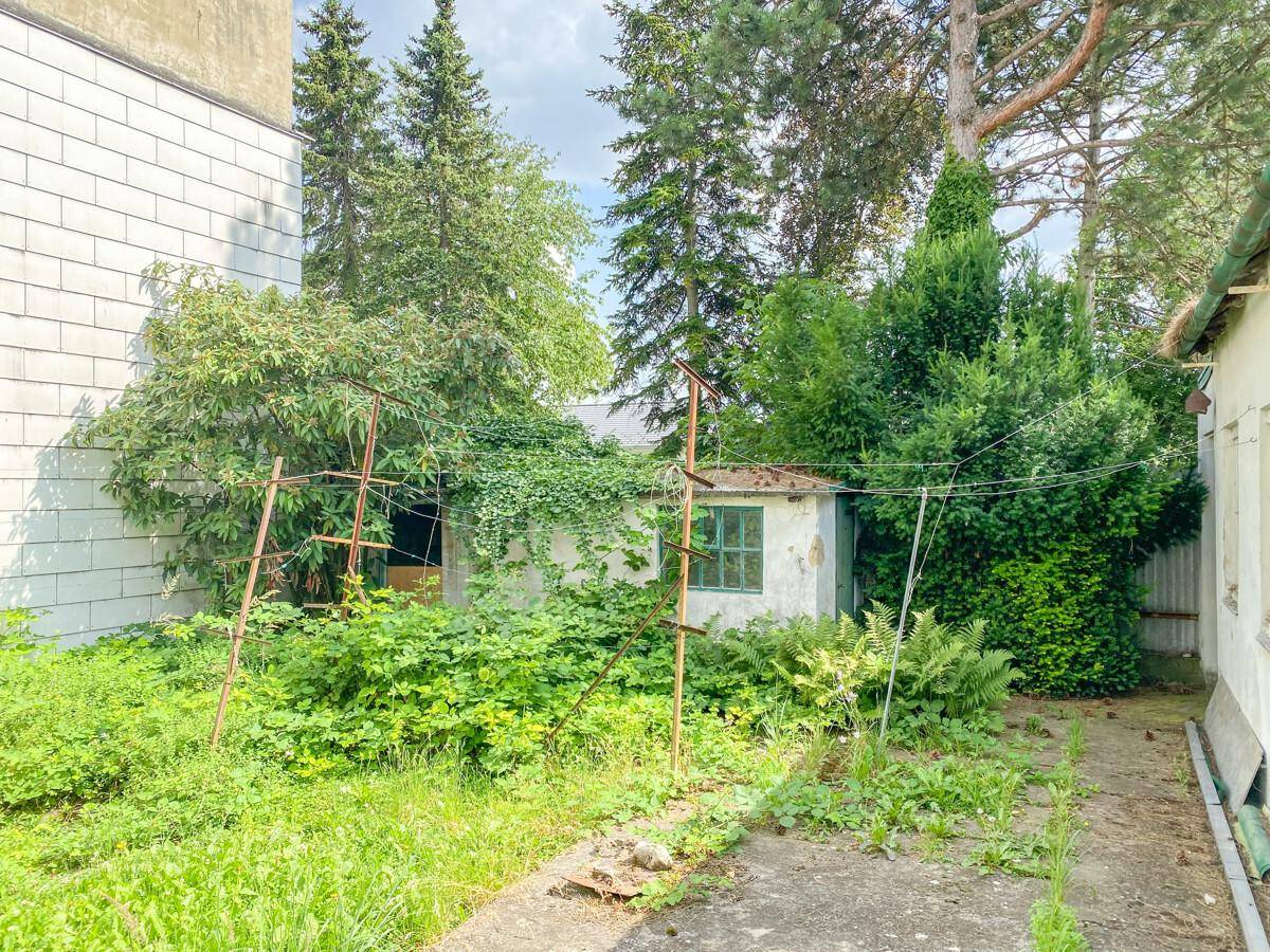 Alter, verfallener Schuppen in einem stark verwilderten Gartenbereich neben einer weißen Ziegelwand.