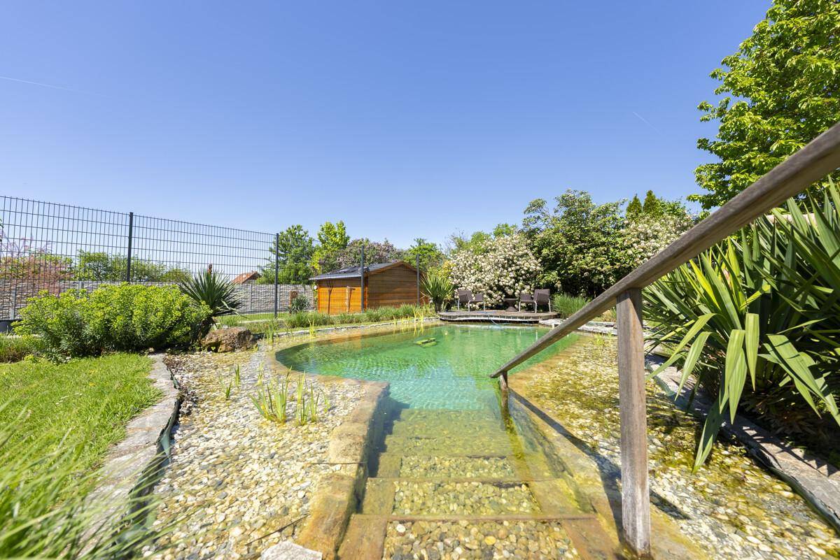 Natürlicher Schwimmteich im Garten mit Holzsteg und umgebender Bepflanzung unter klarem Himmel.