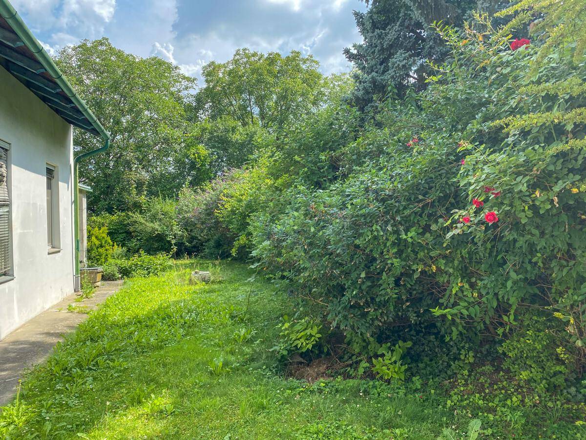 Seite des Hauses mit einem verwilderten Gartenbereich und üppigem Grün im Hintergrund.