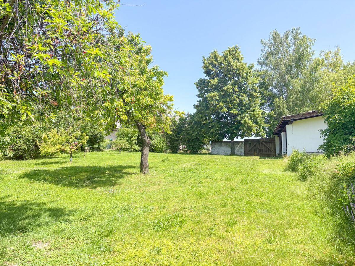 Weitläufige Rasenfläche mit altem Baumbestand und viel Grün unter blauem Himmel.