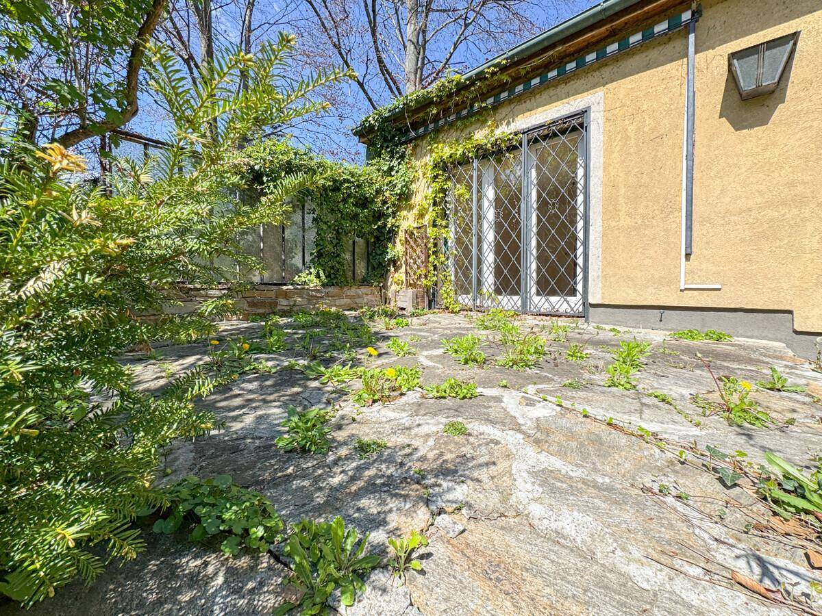 Gepflasterter Bereich am Haus mit Zugangstür und bewachsenen Wänden unter blauem Himmel.