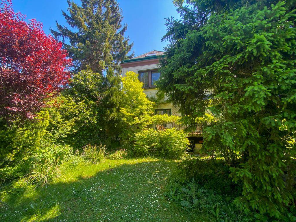 Üppiger grüner Garten mit verschiedenen Bäumen und Sträuchern vor dem Haus.