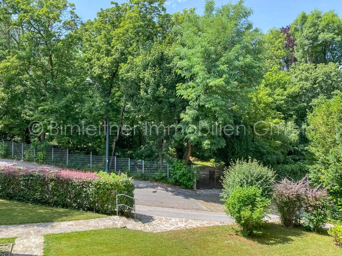 Üppige grüne Landschaft mit dichtem Baumbestand, Hecken und einem gepflegten Weg.