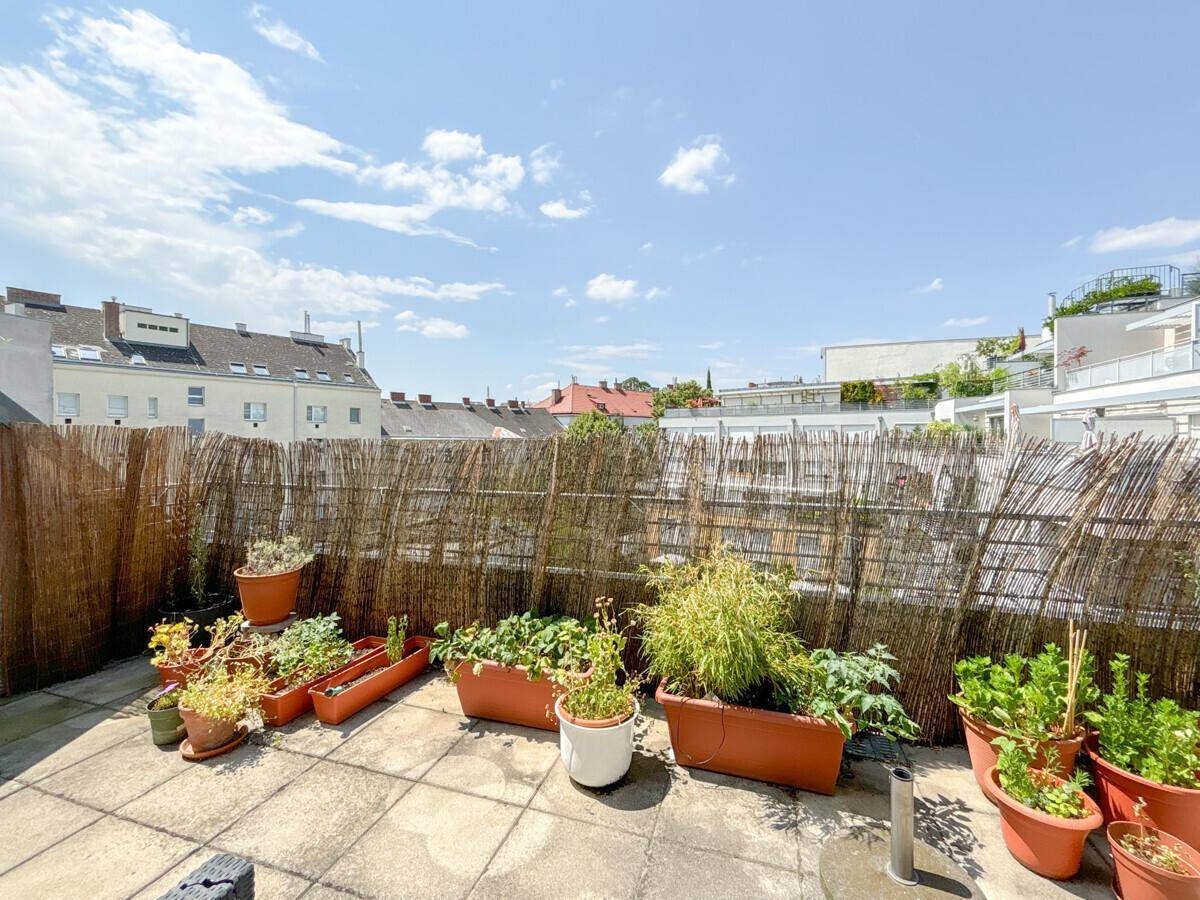 Sonniger Terrassenbereich mit vielen Topfpflanzen und einem Sichtschutz aus Bambus.
