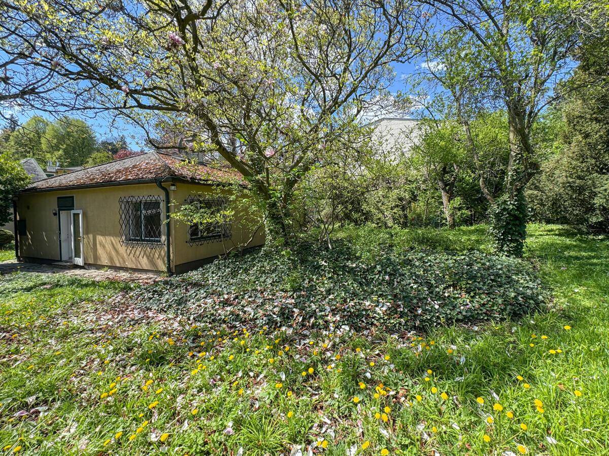 Seitlicher Blick auf das gelbe Haus und den weitläufigen Garten mit blühenden Bäumen und viel Grün.
