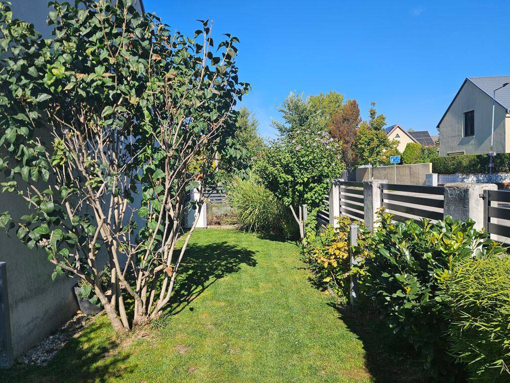 Kleiner, gepflegter Gartenbereich mit Rasen und Sträuchern neben dem Haus.