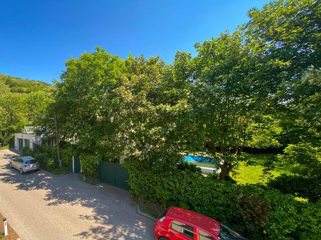 Blick auf eine ruhige Straße, umgeben von Bäumen, mit einem Pool im Hintergrund.