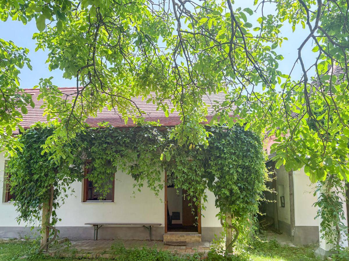 Traditionelle Fassade mit Rankpflanzen, einer Holzbank und einem einladenden Eingangsbereich.