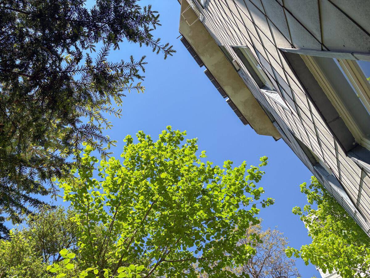 Blick nach oben auf die Fassade eines Gebäudes mit geometrischem Muster und blauem Himmel, umgeben von Bäumen.