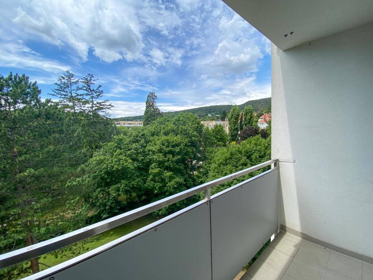 Balkon mit weitem Blick über grüne Baumwipfel und die umliegende Hügellandschaft unter blauem Himmel.