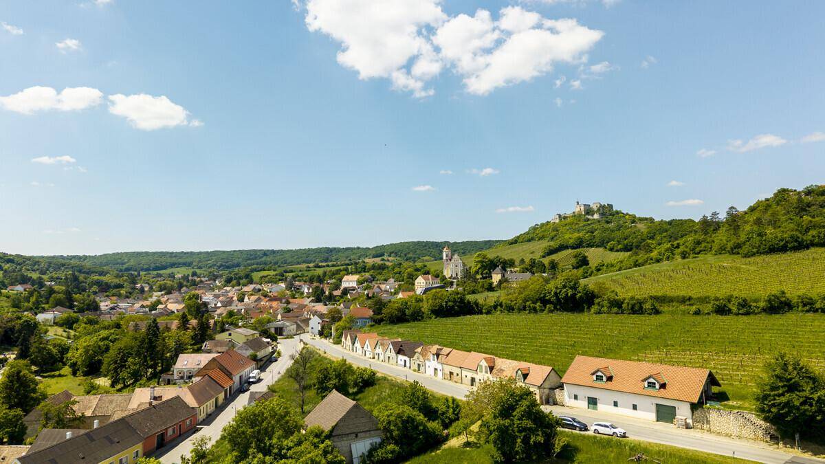 Luftaufnahme eines malerischen Dorfes mit Weinbergen und einer Burgruine auf einem Hügel im Hintergrund.