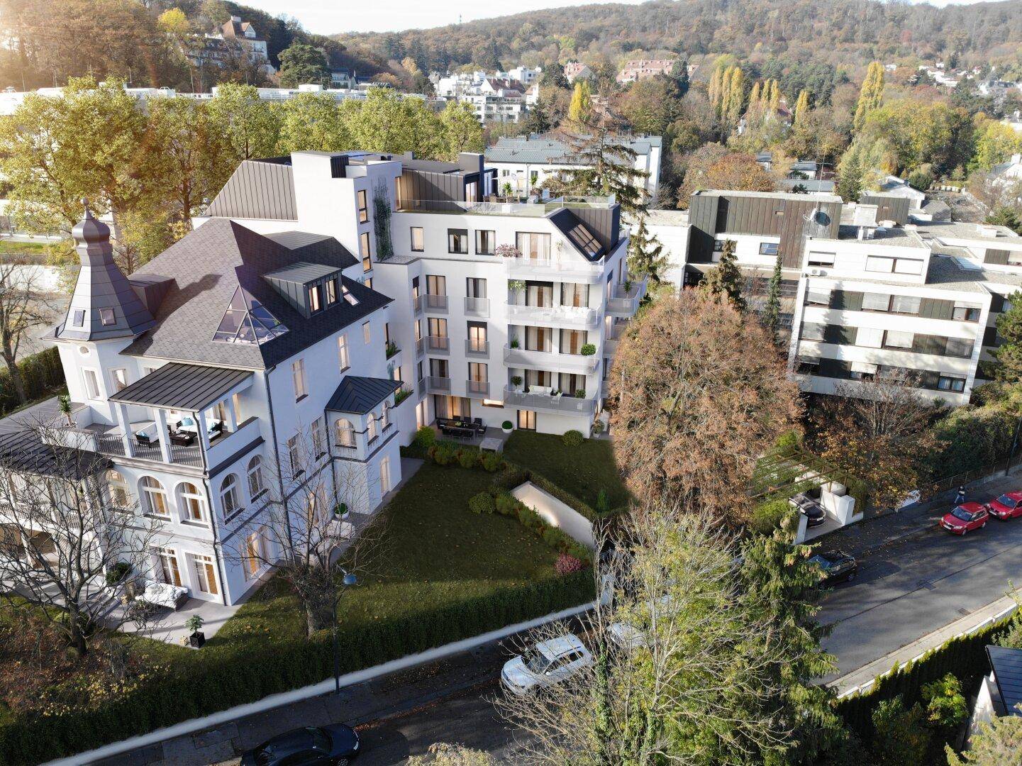 Bird View