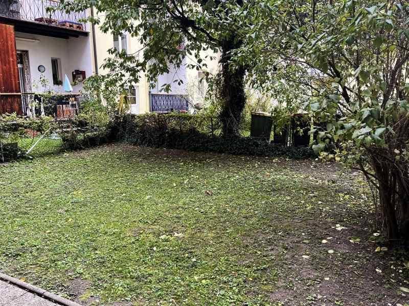 Grüner Gartenbereich mit Rasenfläche, Bäumen und Sträuchern, umgeben von einer ruhigen Wohngegend.