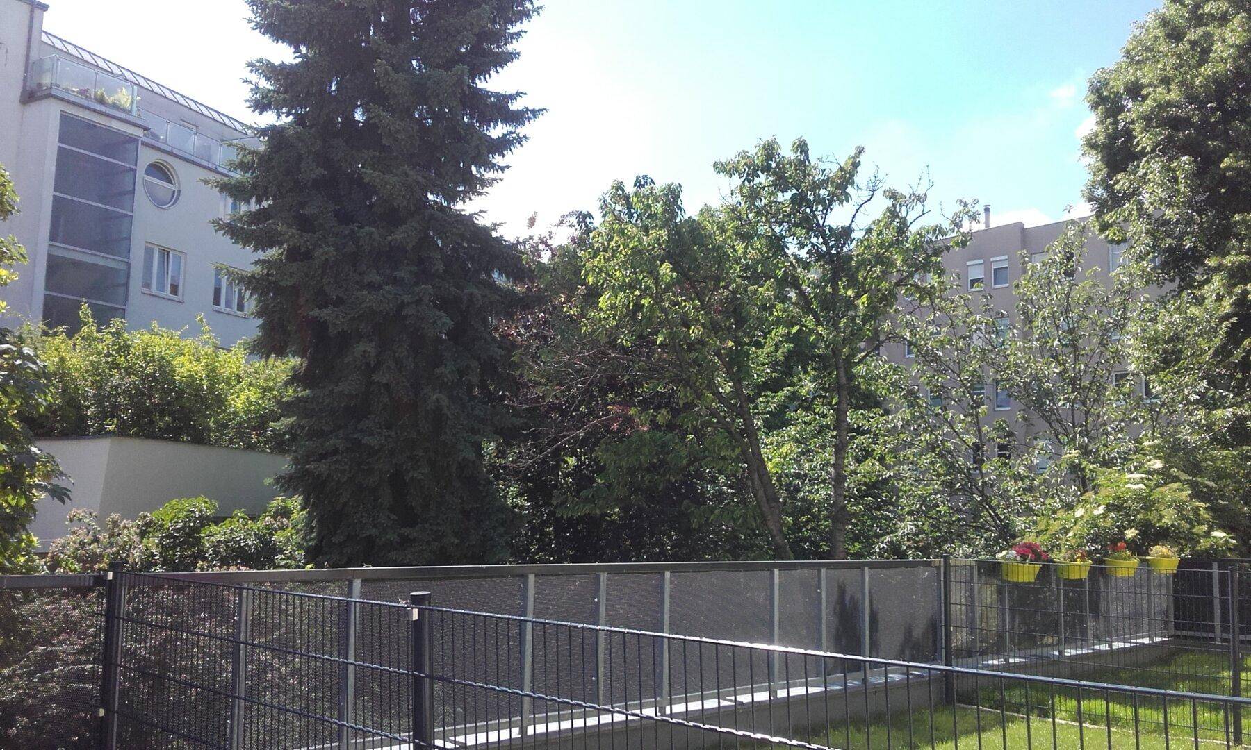Slide 22