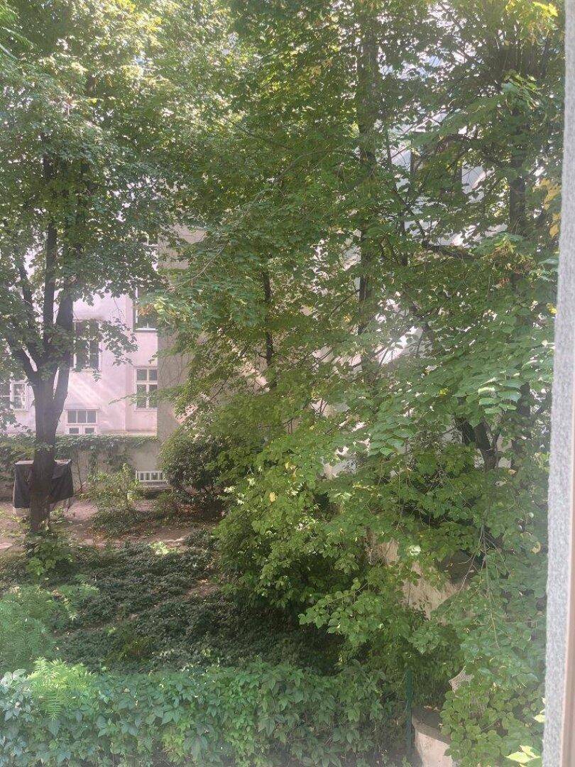 Blick auf einen dicht bewachsenen Gartenbereich mit vielen Bäumen und Sträuchern im Hinterhof.