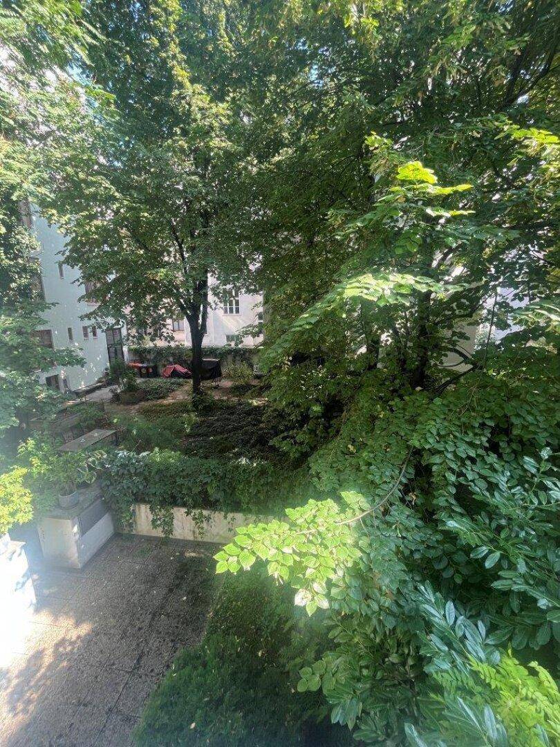Grüner Innenhof mit üppiger Vegetation und Bäumen, der eine ruhige Oase bietet.