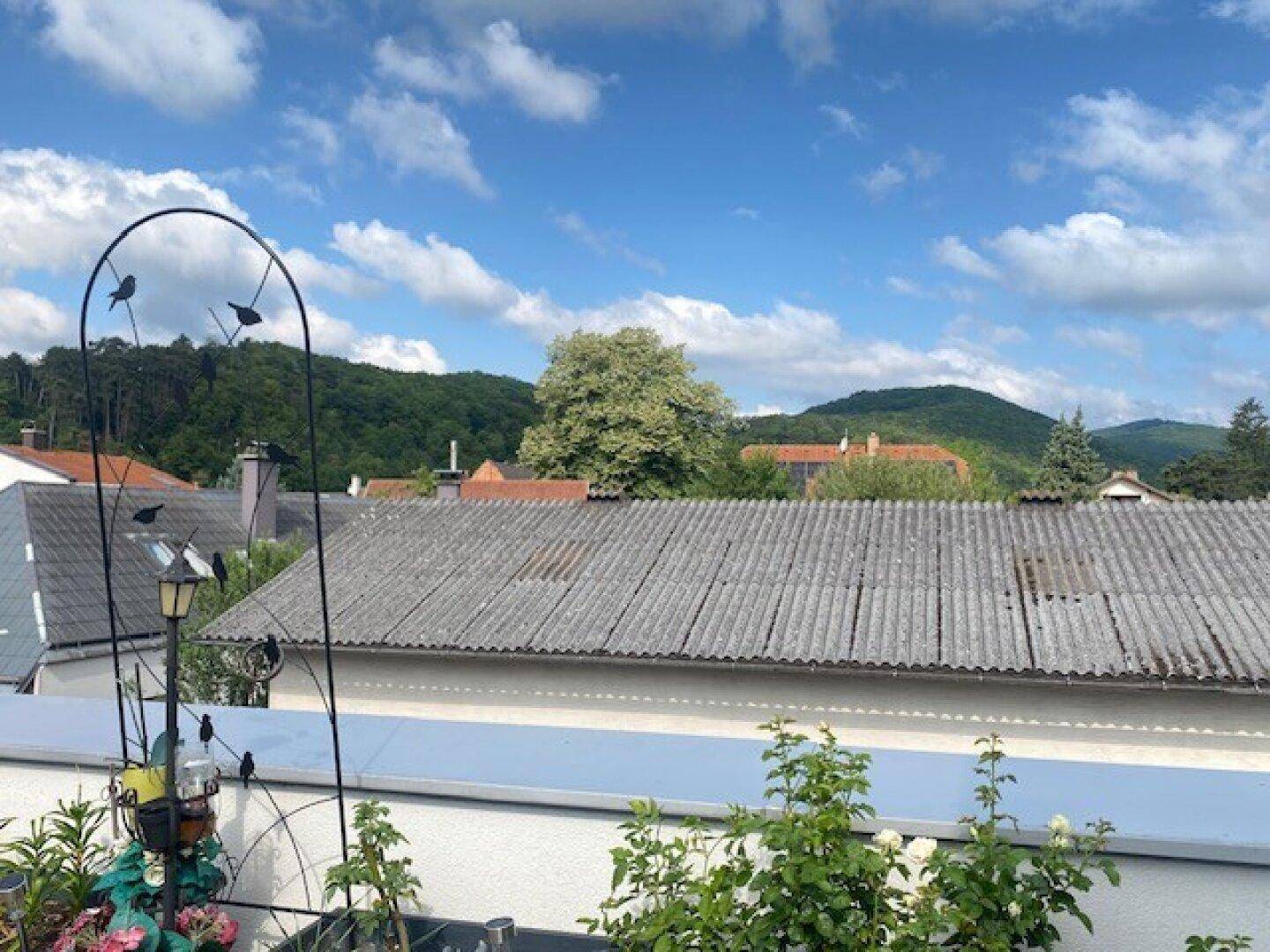 Weitblick von der Dachterrasse über Dächer und grüne Hügel unter blauem Himmel.