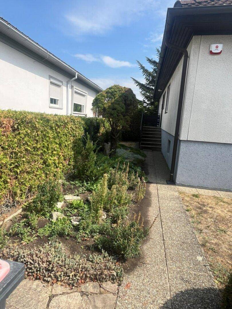 Seitlicher Gartenweg mit Hecke und verschiedenen Pflanzen, der zum Haus führt.