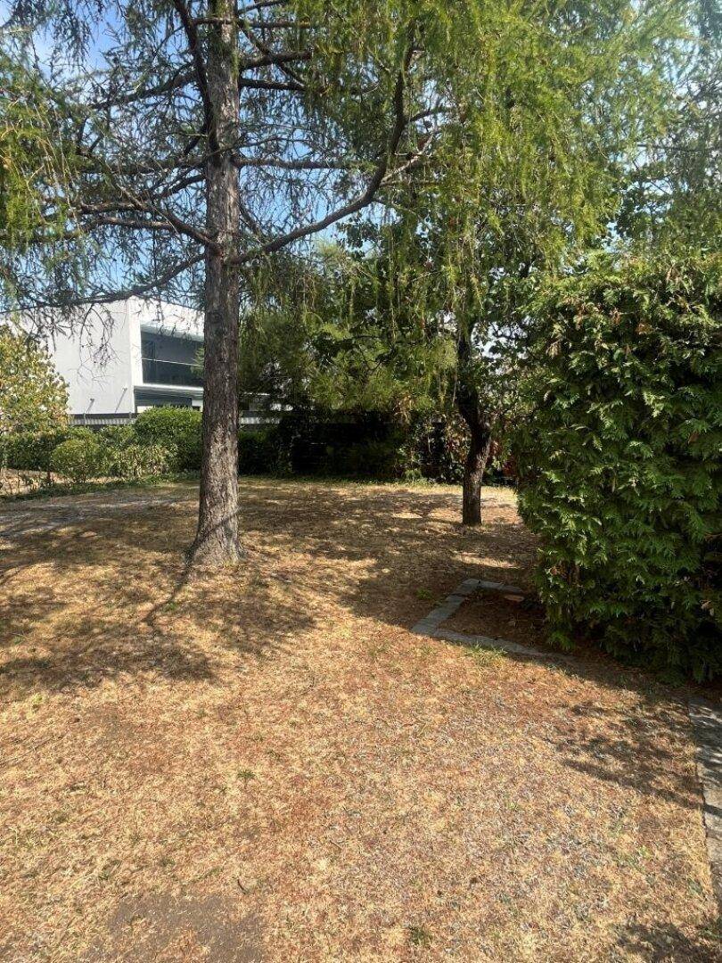 Weitläufiger Garten mit Bäumen, trockenem Rasen und Hecken, ideal für Erholung im Freien.