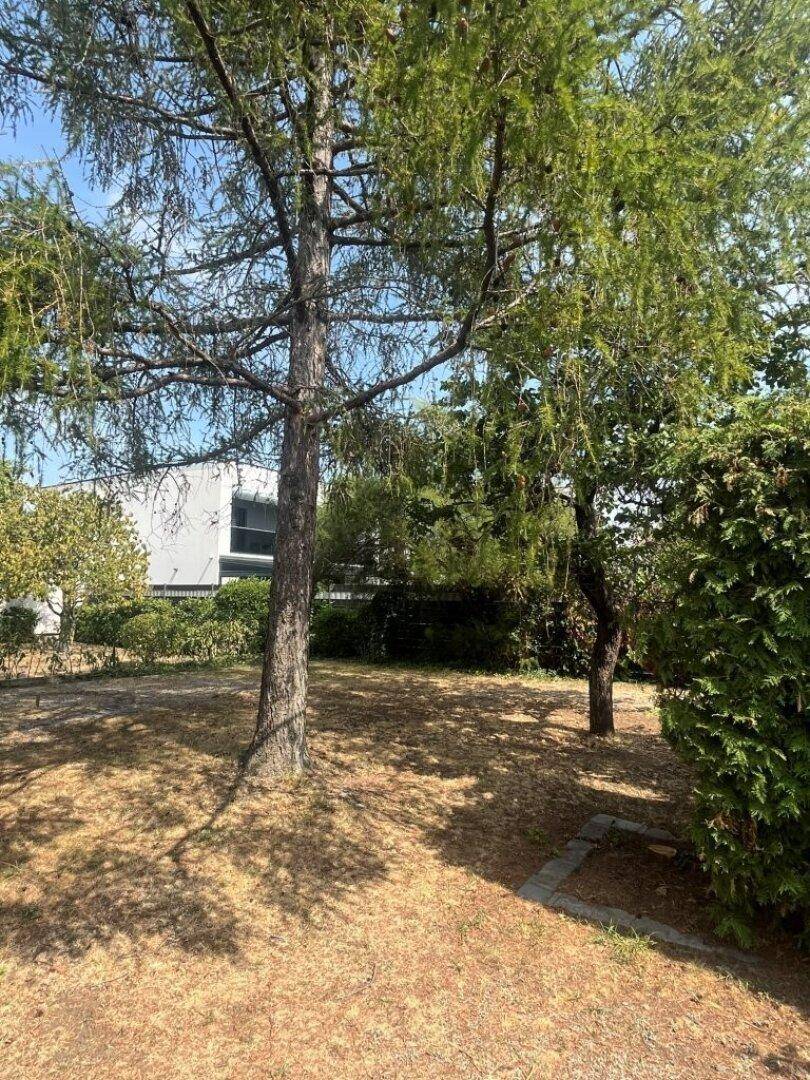 Großer Gartenbereich mit alten Bäumen und trockenem Rasen, bietet viel Potenzial zur Gestaltung.