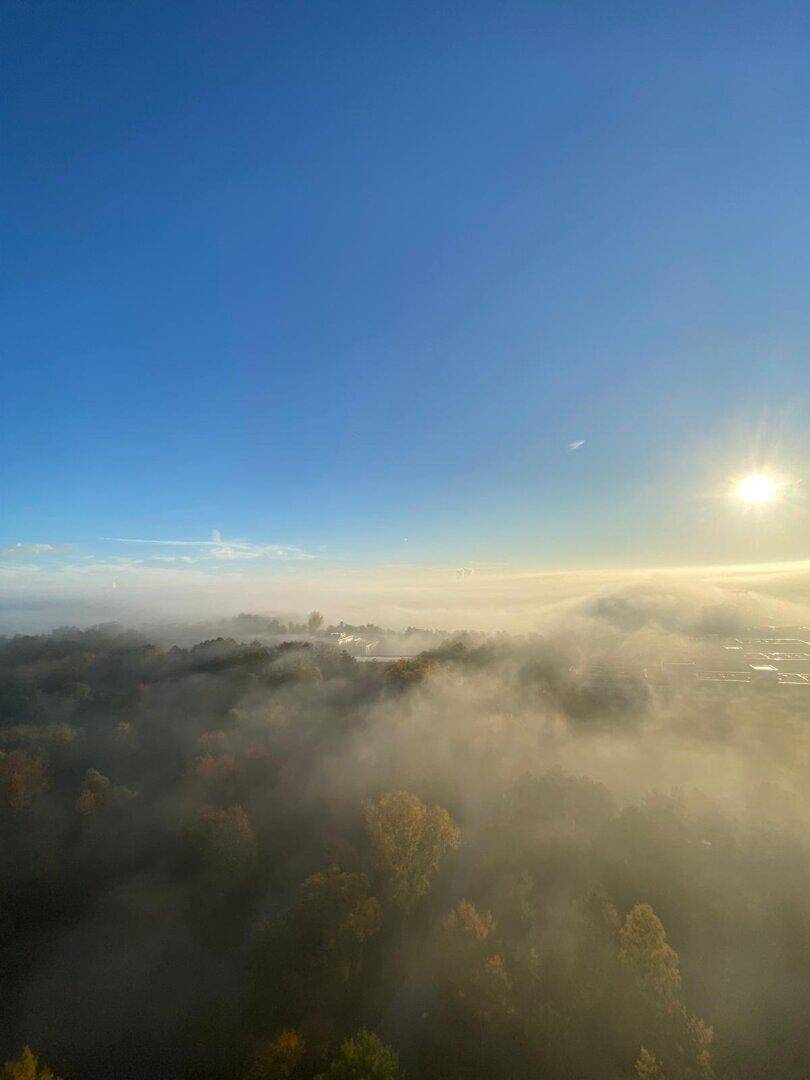Malerische Landschaft mit Nebel über den Baumwipfeln und strahlendem Sonnenschein am Horizont.