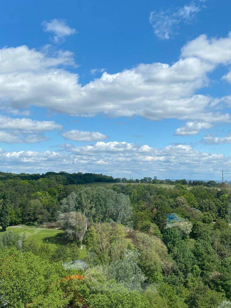 Weitläufiger Blick über grüne Wälder und Felder unter einem blauen Himmel mit weißen Wolken.