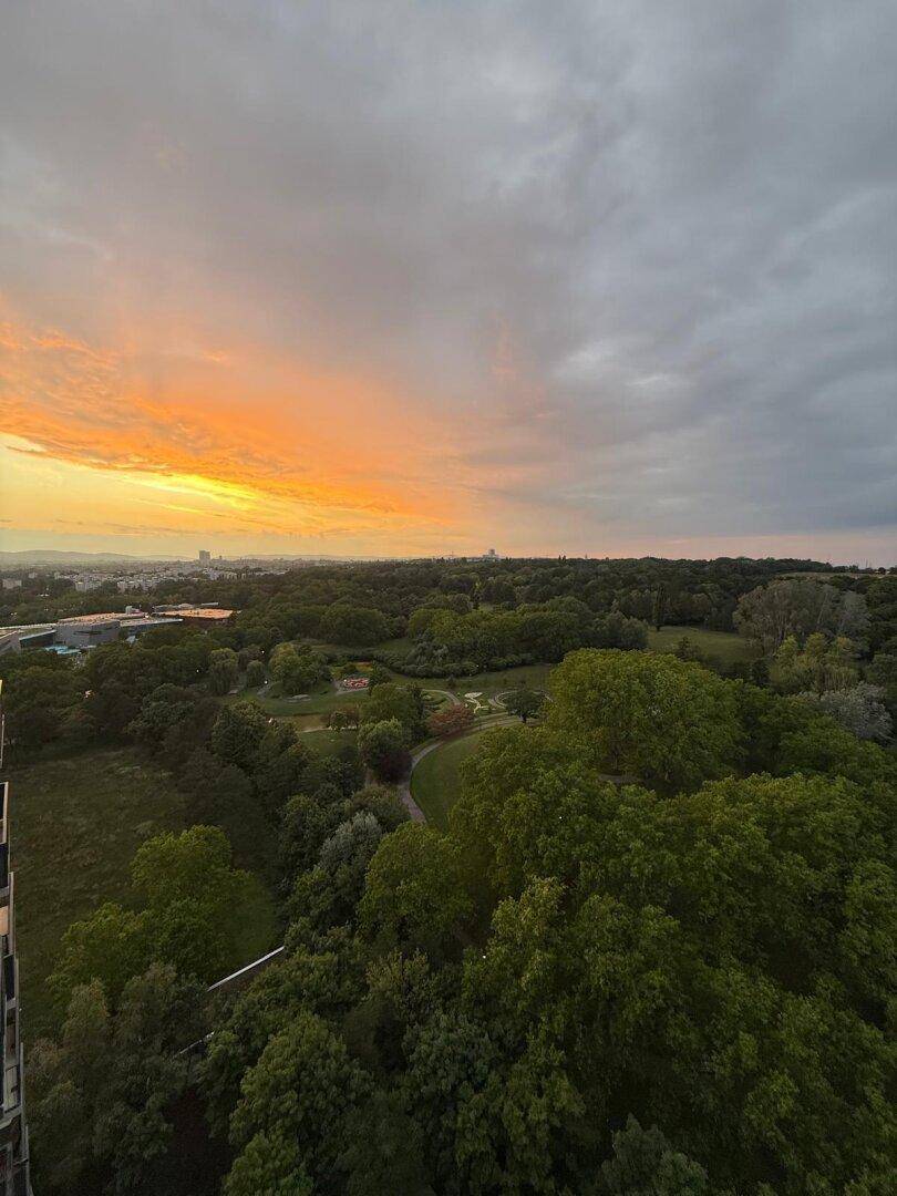 Weitläufiger Blick über eine grüne Parklandschaft mit Stadtpanorama am Horizont bei Sonnenuntergang.