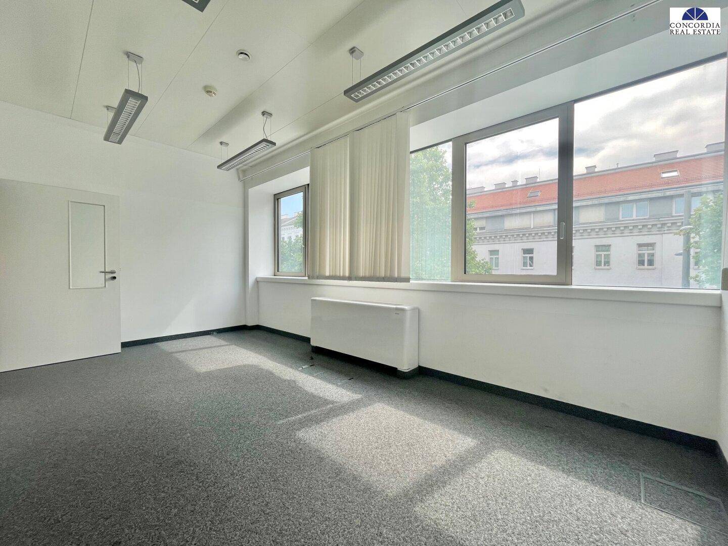 Geräumiger Büroraum mit Teppichboden, großen Fenstern und viel Tageslicht.
