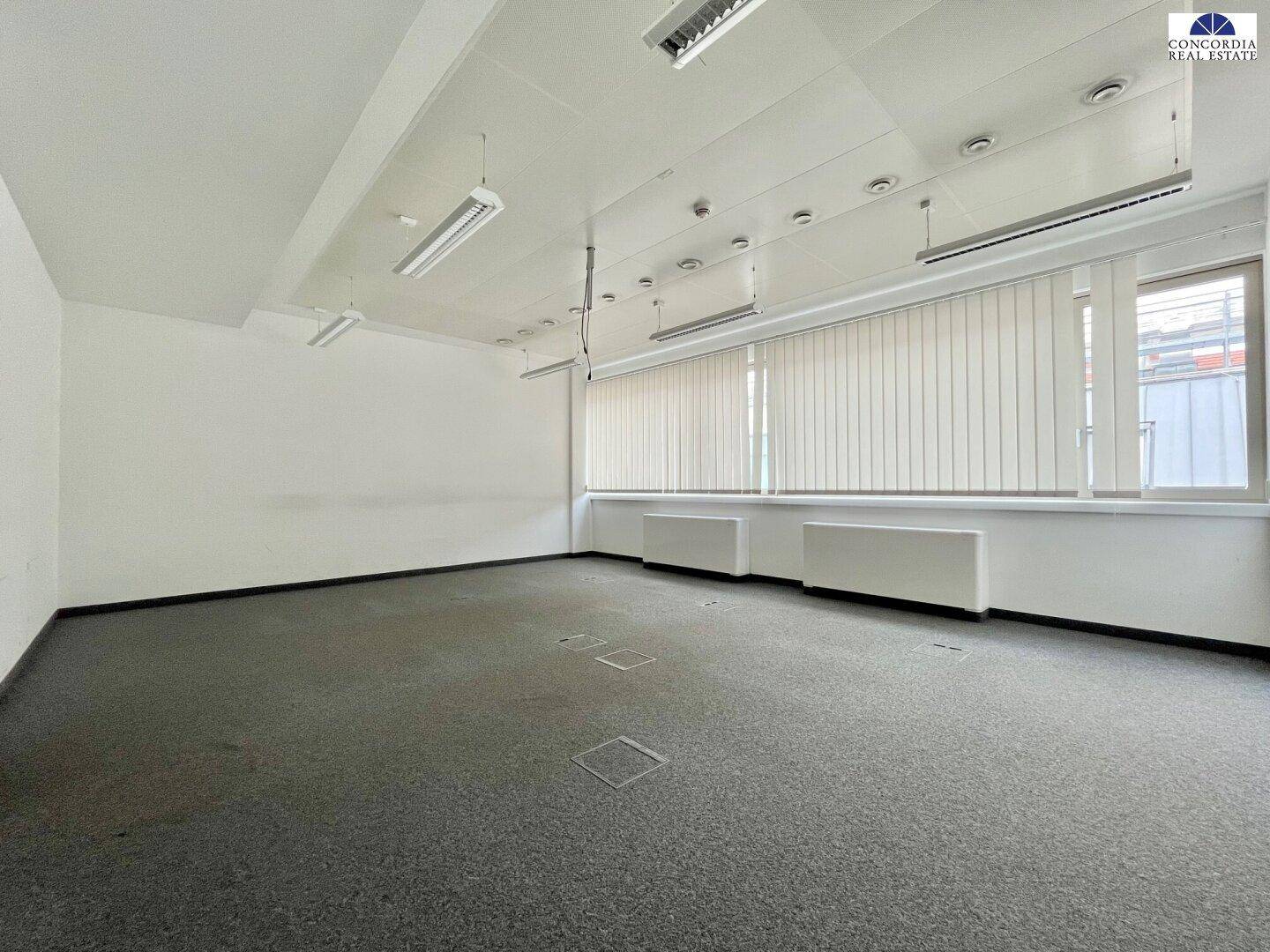Leerer Büroraum mit Teppichboden, großen Fenstern und Heizkörpern unter der Fensterbank.