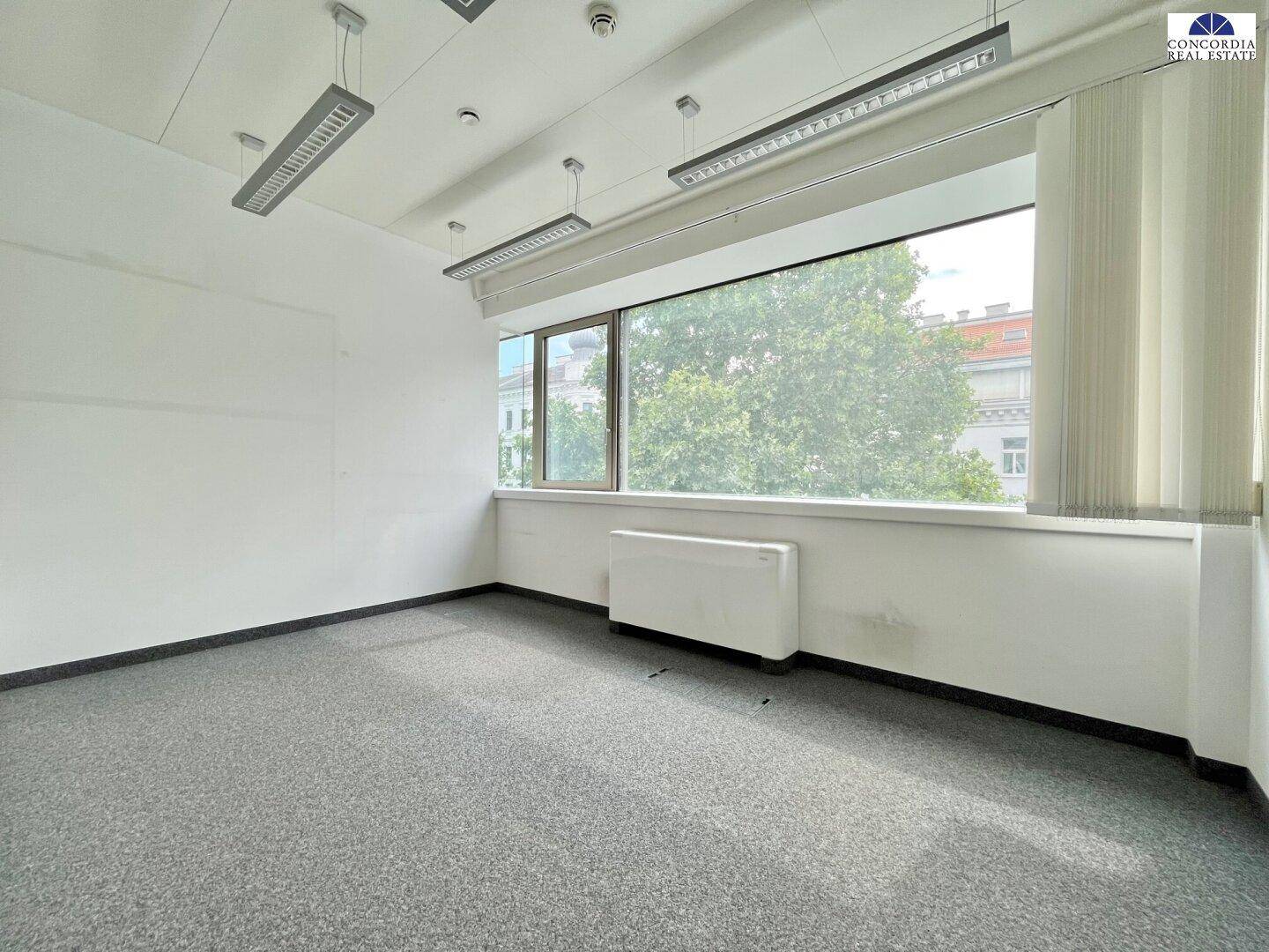 Heller Büroraum mit Teppichboden, großem Fenster und viel Tageslicht.