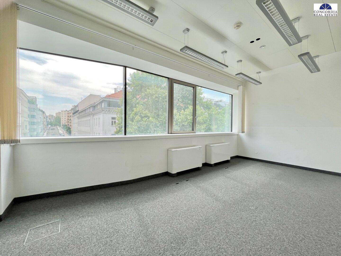 Geräumiger Büroraum mit Teppichboden, mehreren großen Fenstern und Stadtblick.