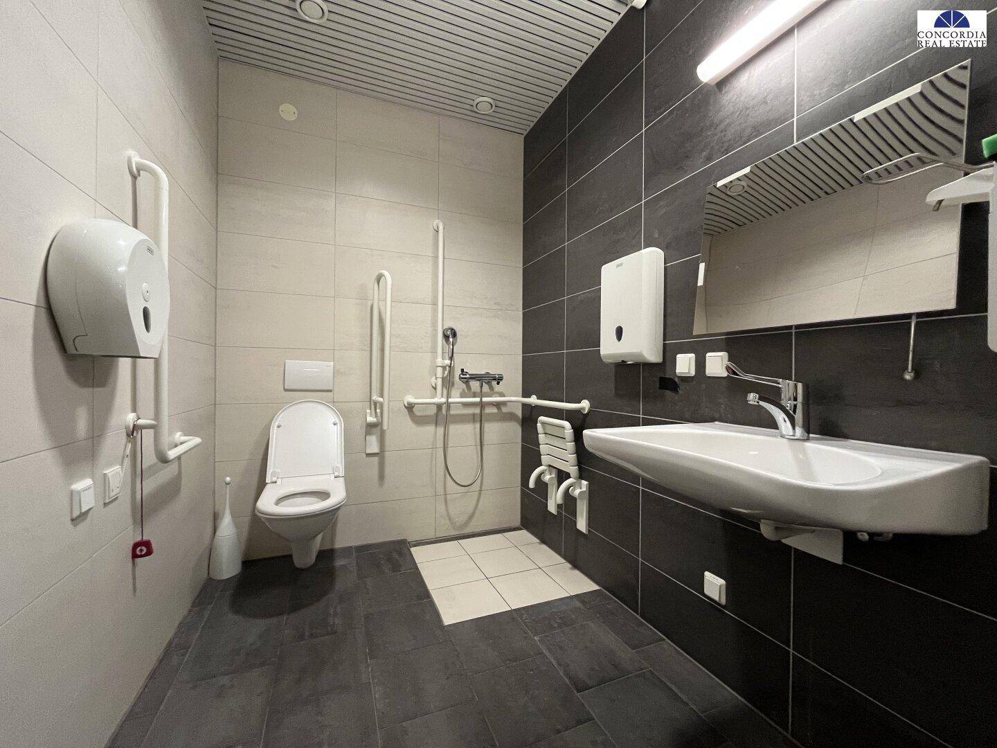Modernes, barrierefreies Badezimmer mit Dusche, WC und Haltegriffen.