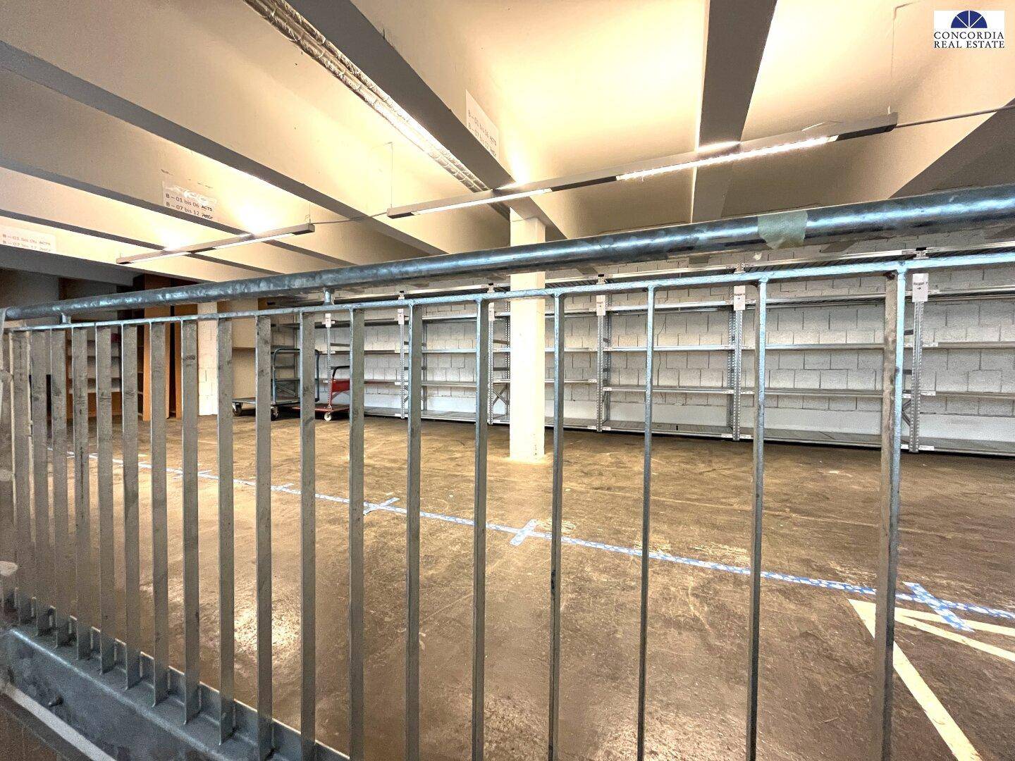 Blick durch ein Metallgeländer in einen großen Lagerraum mit Regalen und Betonboden.