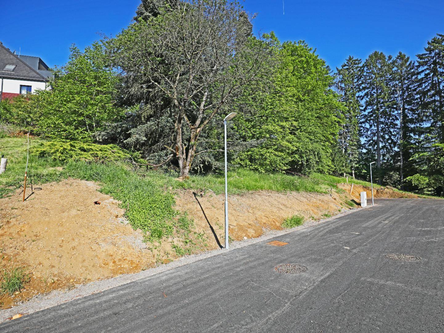 Neu angelegte Straße führt entlang eines sonnigen, unbebauten Grundstücks mit Baumbestand.