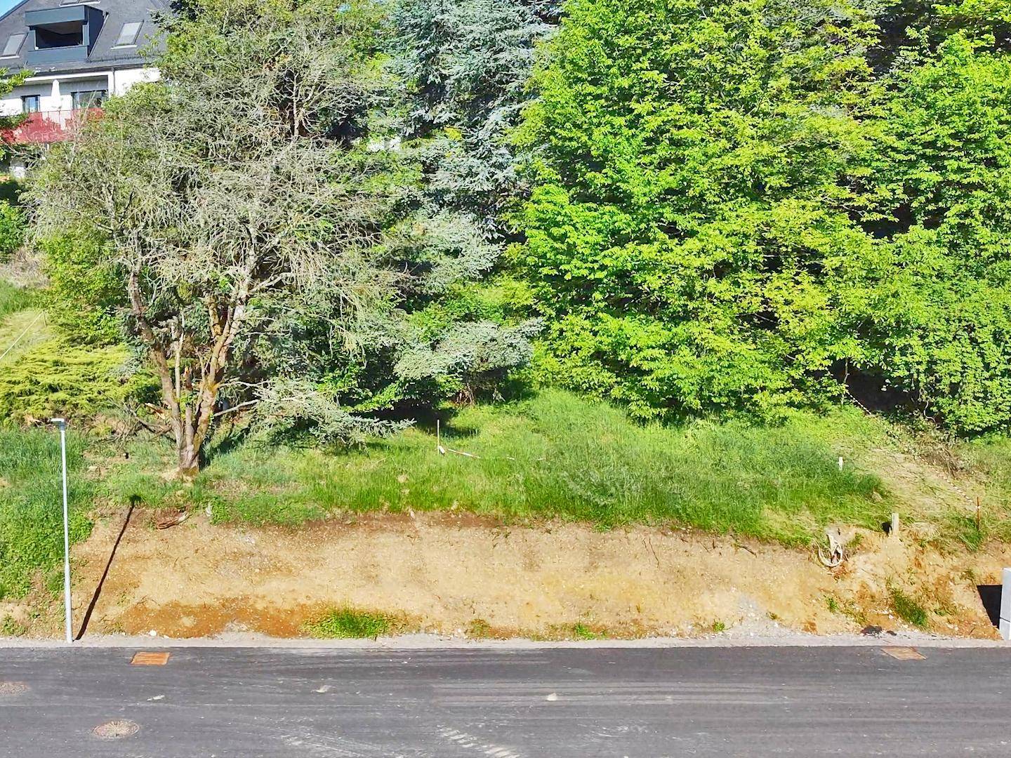 Hanglage eines unbebauten Grundstücks mit Bäumen und Blick auf ein Gebäude im Hintergrund.