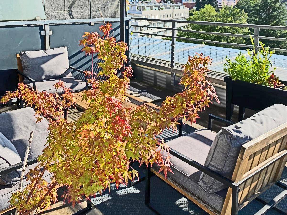 Dachterrasse